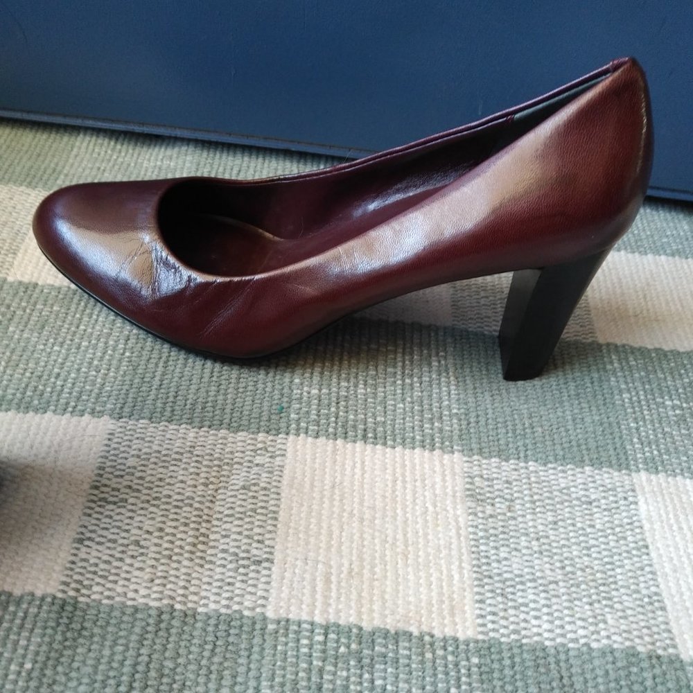 Beautiful Brown - Picture 6 of 6